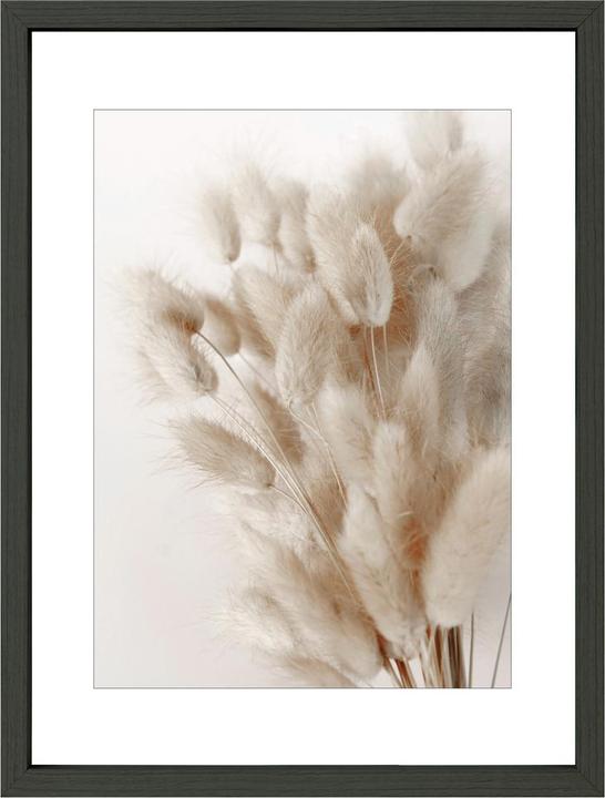 Produktbild Intertrading Brasil