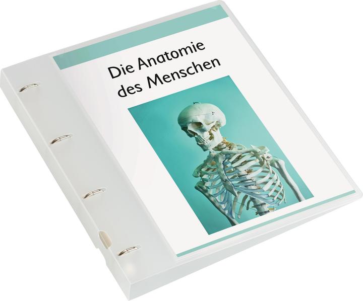 Immagine prodotto Kolma Libro degli spettacoli Vario A4 XL 4 anelli altezza di riempimento 2 cm incolore (A4, 29 mm, 1 pz.)