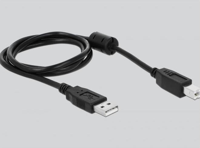 Immagine prodotto Delock Hub seriale a 4 porte 1x USB 4x D-Sub9 esterno (USB-A, 4 porte)