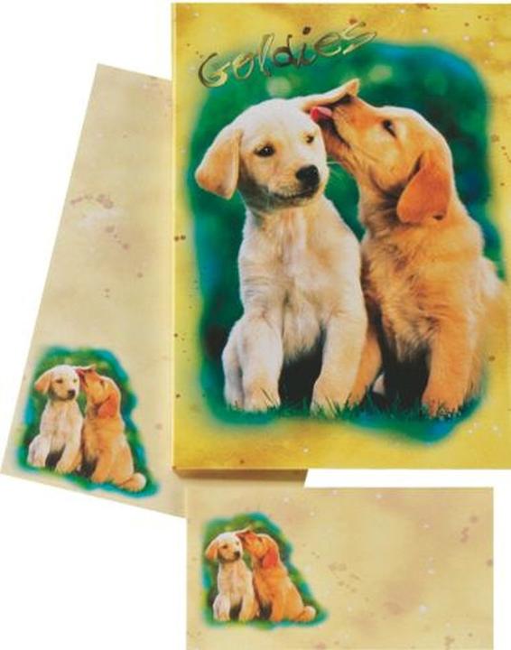 Immagine prodotto Roost Carta/buste Goldies 180350 80g, beige/giallo 2x10 pezzi (80 g/m², 20 x)