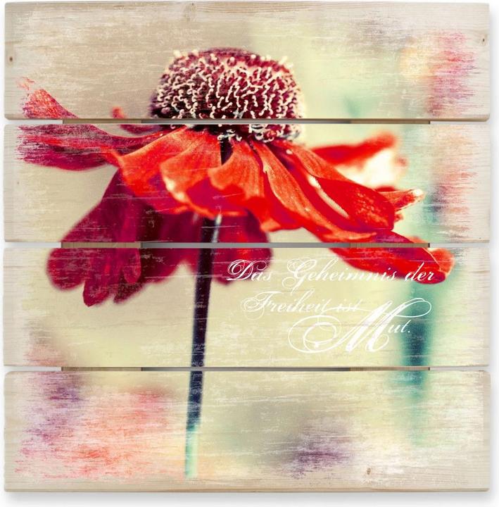 Image du produit Trenddeko Le secret de la liberté, c'est le courage (40 x 41,5 cm)