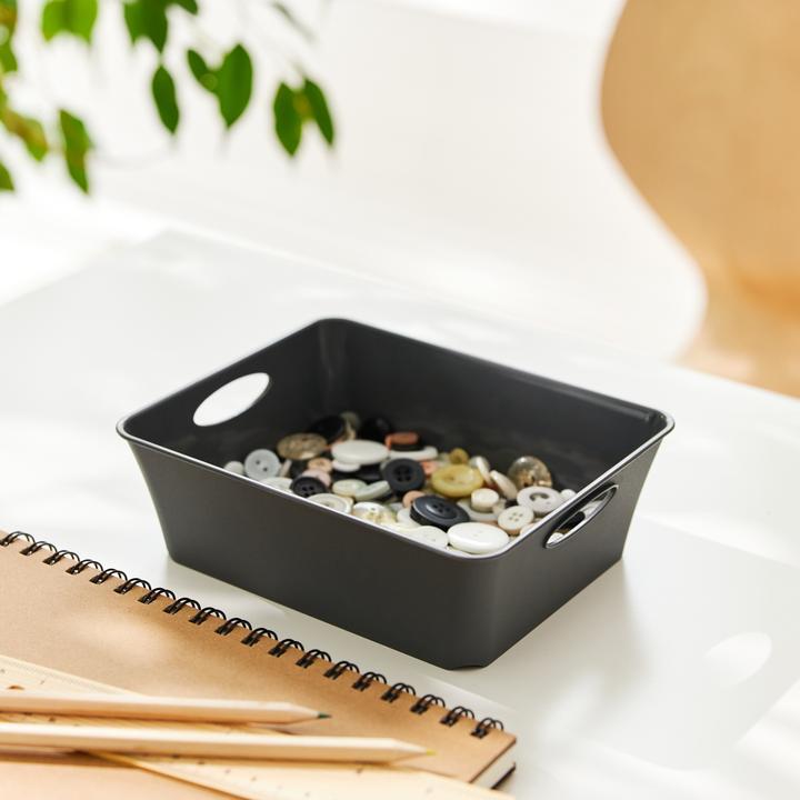 Actual product image Rotho Living (6 x 12 x 16 cm, 0 l)