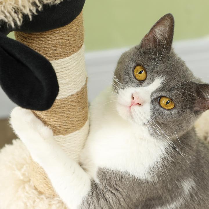 Produktbild PawHut Kratzbaum Spanplatte, Polyester Braun (98 cm, Hellbraun)