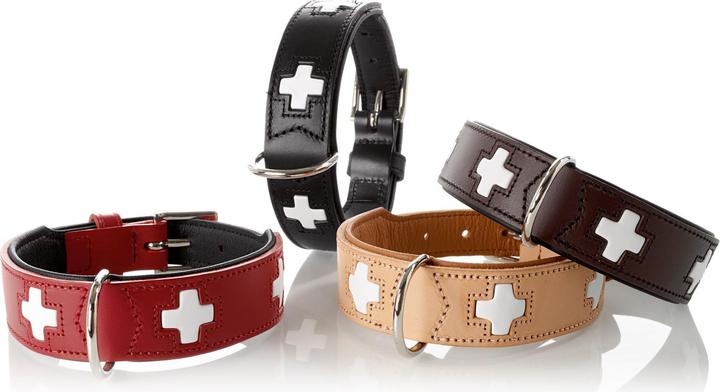 Actual product image Hunter Collar Swiss (Dog, Walks)
