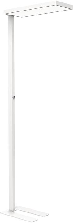 Image du produit Maul Lampadaire MAULjura 8257102 dimmable, blanc (9200 lm)