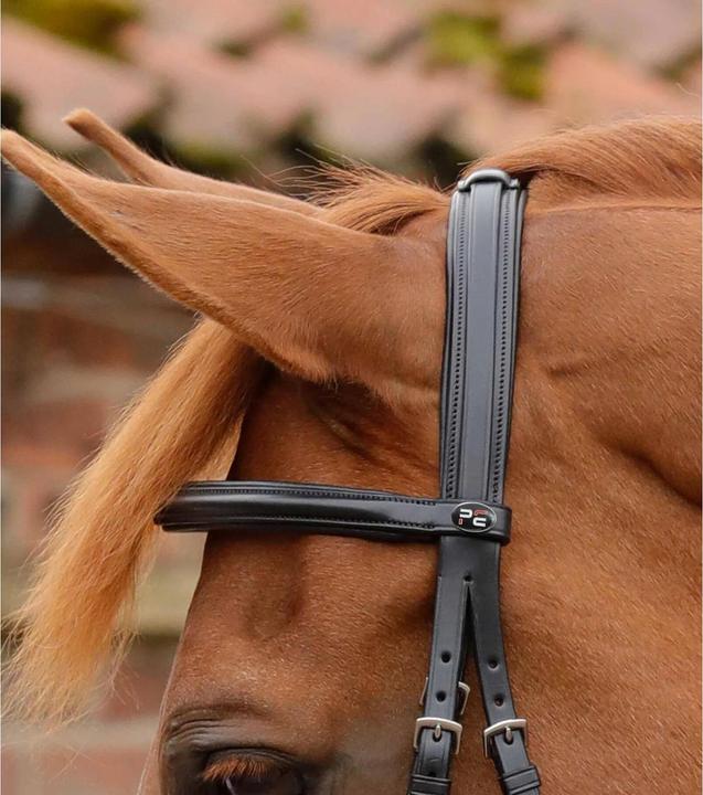 Image du produit Premier Equine Delizioso