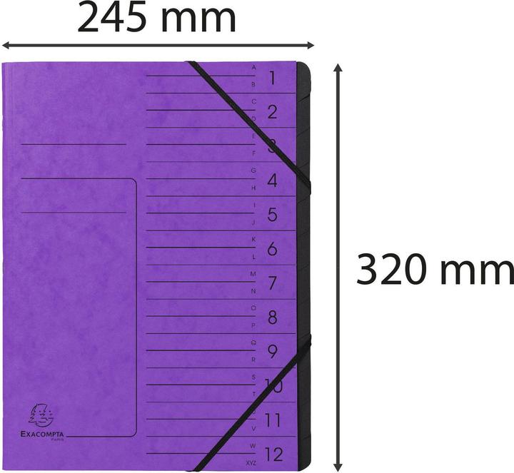 Image du produit Exacompta Dossiers de classement (A4, 1x)