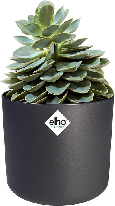 Immagine prodotto Elho b.for soft (13.80 cm)