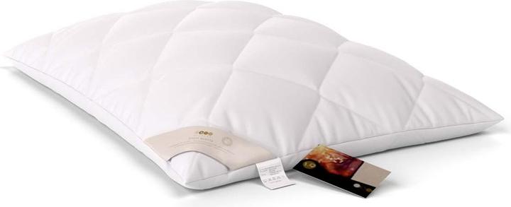 Immagine prodotto Erzstef Allergiker-Chemnitz (50 x 70 cm)