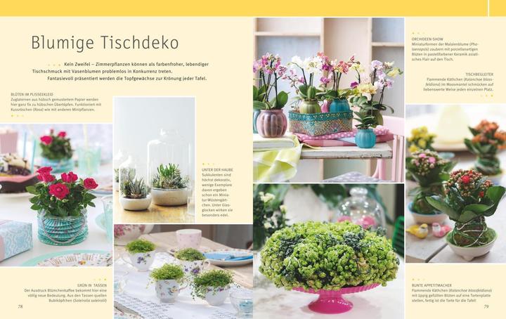 Actual product image Zimmerpflanzen (German, Karin Greiner, 2016)