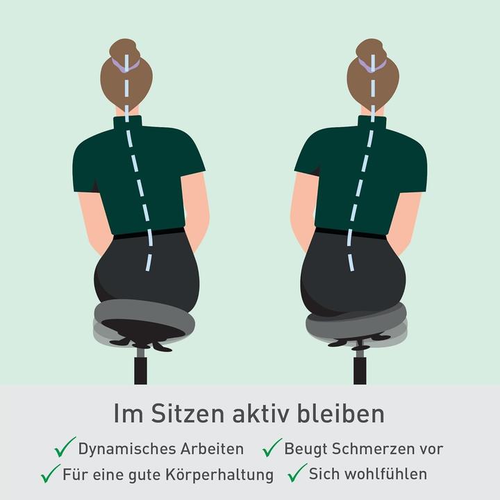 Produktbild Leitz Ergo Active