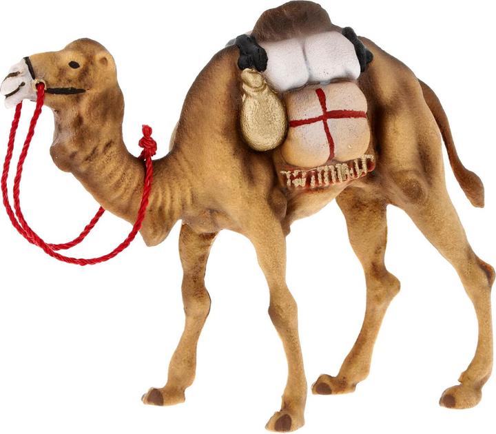 Produktbild Marolin Kamel