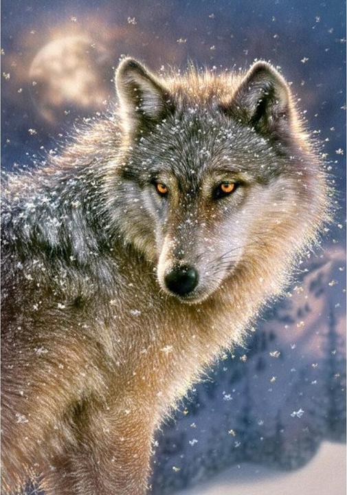 Produktbild Castorland Lone Wolf, Puzzle 500 Teile (500 Teile)