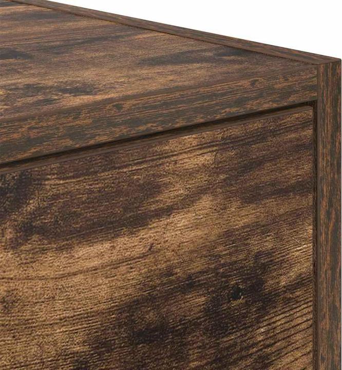 Image du produit vidaXL TV-Schränk (31 x 100 x 25.50 cm)