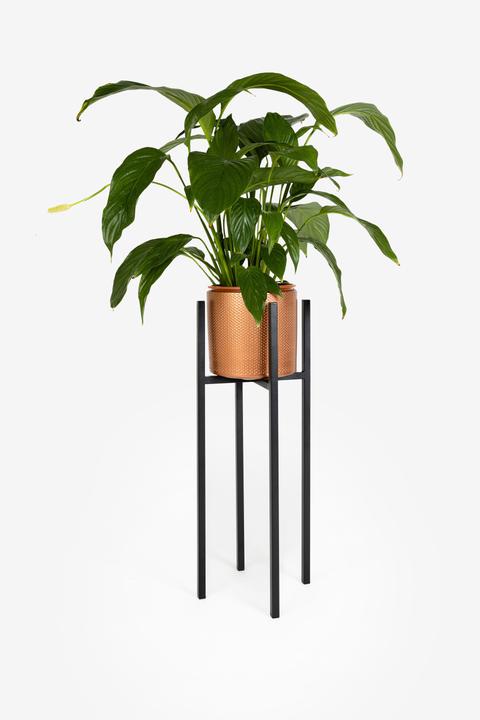 Actual product image Garden Center Flower stand, 21 cm x 21 cm x 60 cm, Ø 20 cm