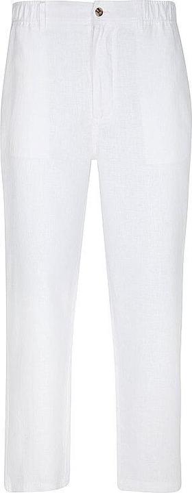 Produktbild Ecoalf Leinenhose ETHIWIN (M)