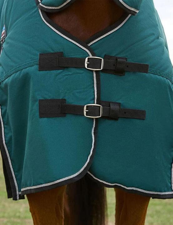 Actual product image Weatherbeeta Comfitec Classic Combo 220g