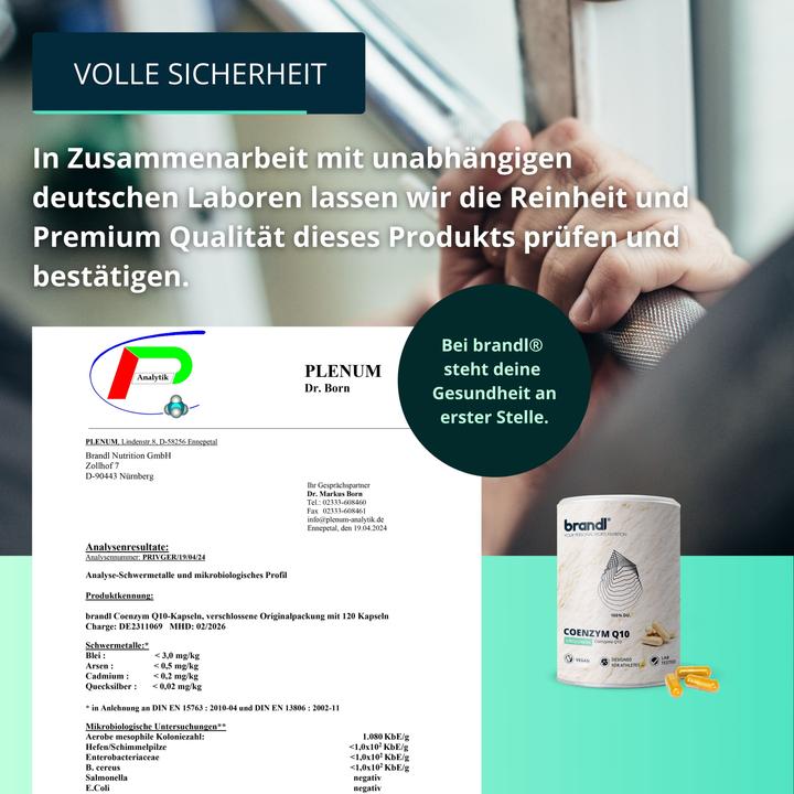 Image du produit Brandl Coenzyme Q10 (1 pièce(s), Capsules, 45 g)