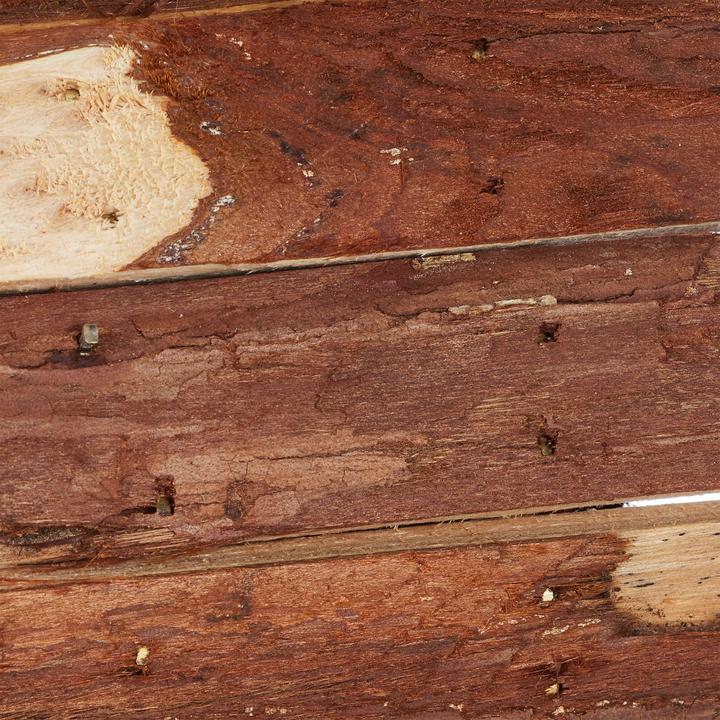 Produktbild Relaxdays Deko-Vogelhaus