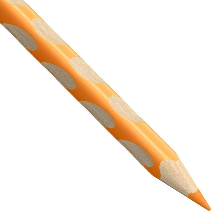 Productafbeelding STABILO Easycolours L, doos van 12 (Oker, Wit, Marineblauw, Smaragdgroen, Bruin, Groen, Geelgroen, Goud, Zilver, Carmine, Grijs, Blauw-paars, 12 x)