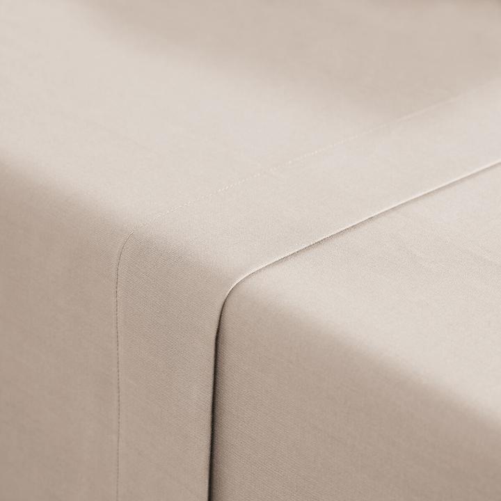 Image du produit La Redoute Interieurs Scenario Coton (Drap, 270 x 290 cm)