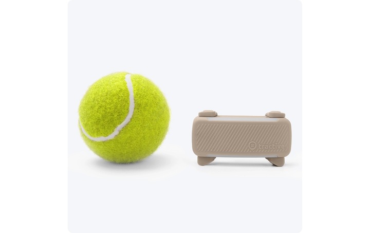 Immagine prodotto Tractive GPS Tracker Dog 6 (Cane)