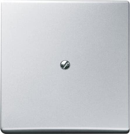 Produktbild Busch-Jaeger Blindzentralscheibe