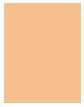 Actual product image Estée Lauder Double Wear Stay-In-Place (2W1 Dawn)