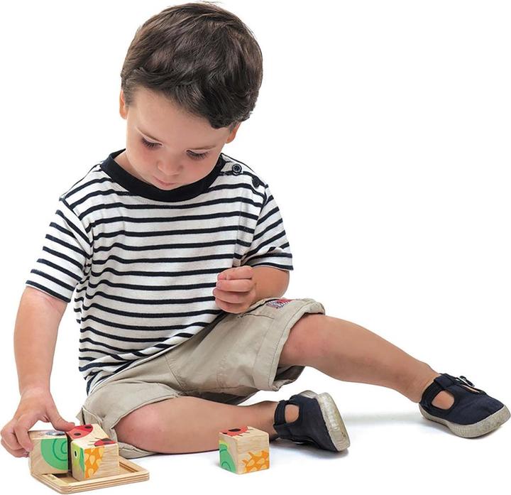 Image du produit Tender Leaf Toys Puzzle de dés (5 pièces)