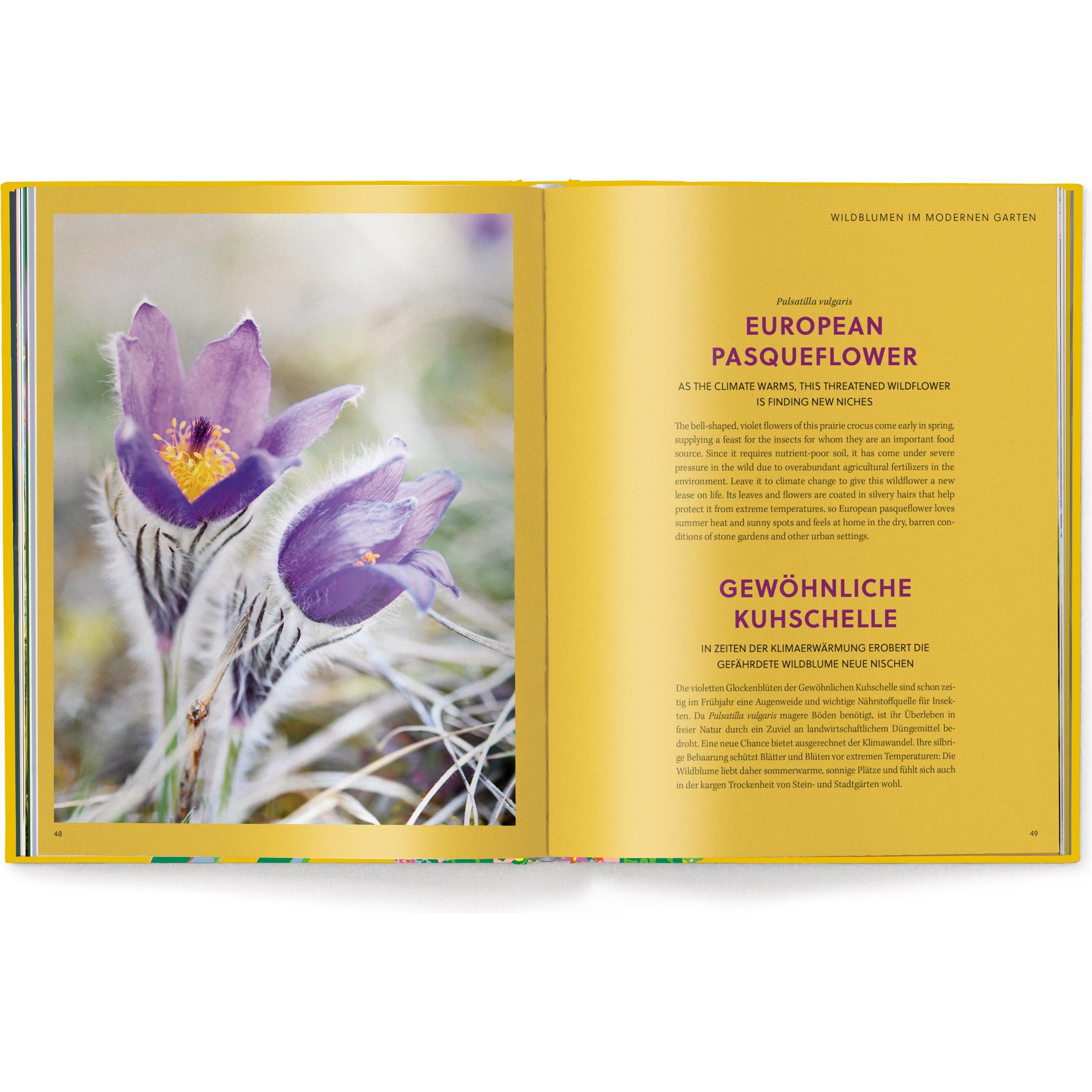 Thumbnail - Floramour: Wild Flowers, Sachbücher von Anja Klaffenbach