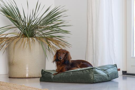 Produktbild Designed by Lotte Nalino (Hund)