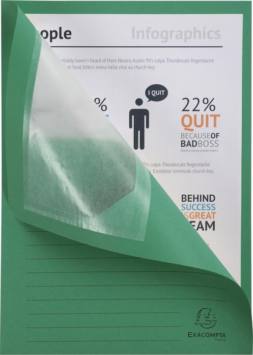 Actual product image Exacompta Collection folders - File covers (A4, 100 x)