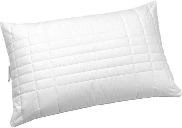 Produktbild Johann Jakob Luna-Flou (65 x 100 cm)