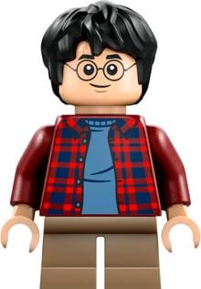 Actual product image LEGO Flying Ford Anglia (76424, LEGO Harry Potter)