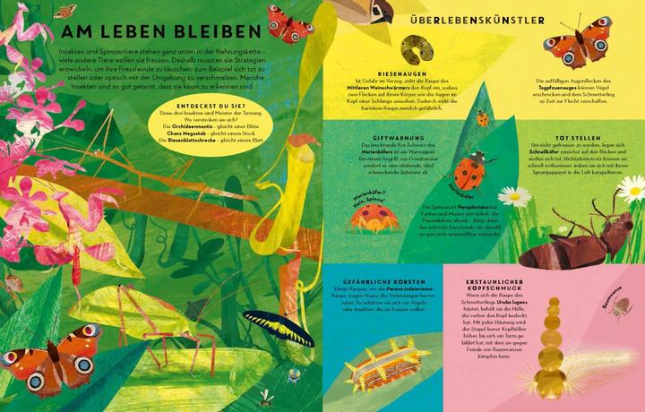 Immagine prodotto Sechs Beine oder mehr – Die Wunderwelt der Insekten und Spinnen (Tedesco, Britta Teckentrup, 2020)