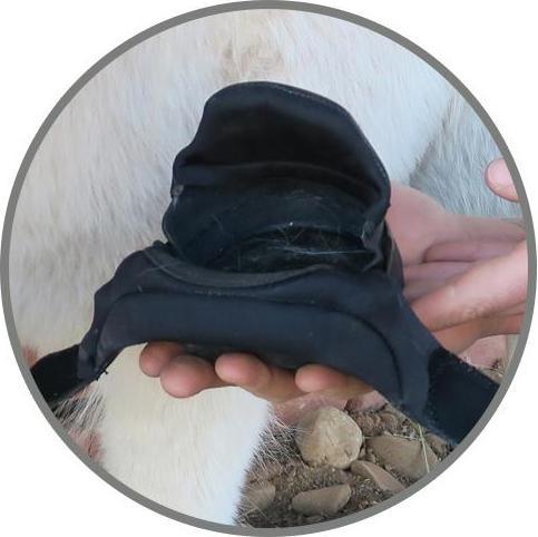 Produktbild Easyboot Mini Hufschuh (Mini 3)