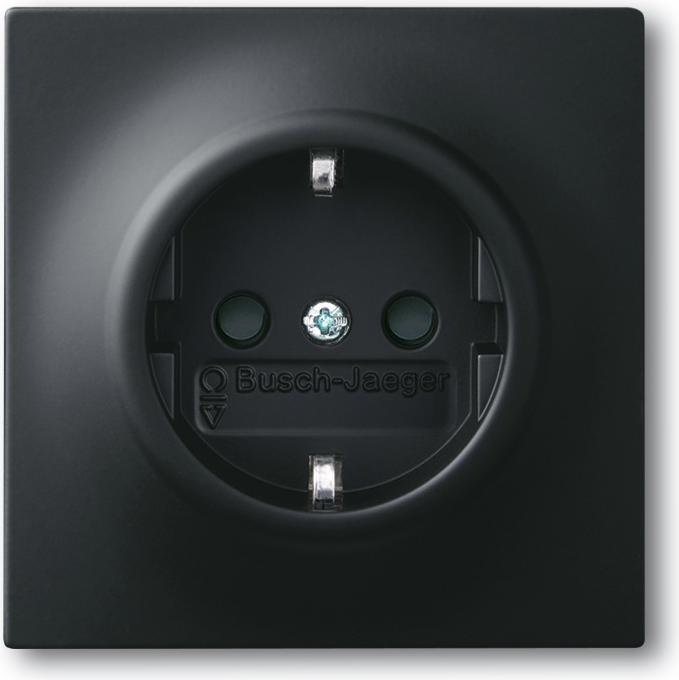 Produktbild Busch-Jaeger Steckdosen-Einsatz