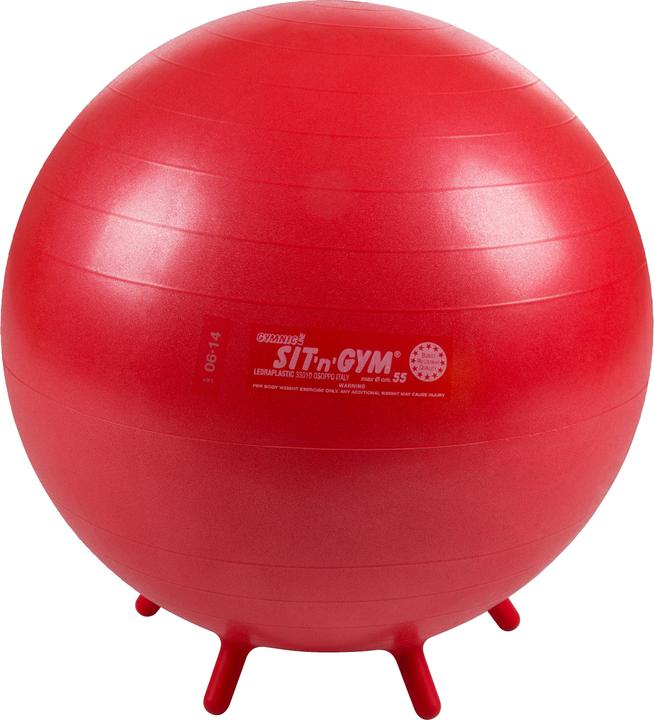 Ledraplastic Fitnessball Sit 'n' Gym (55 cm)