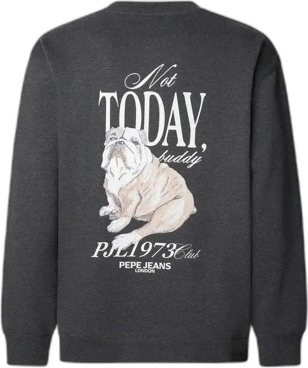 Actual product image Pepe Jeans Terry Crew (L)