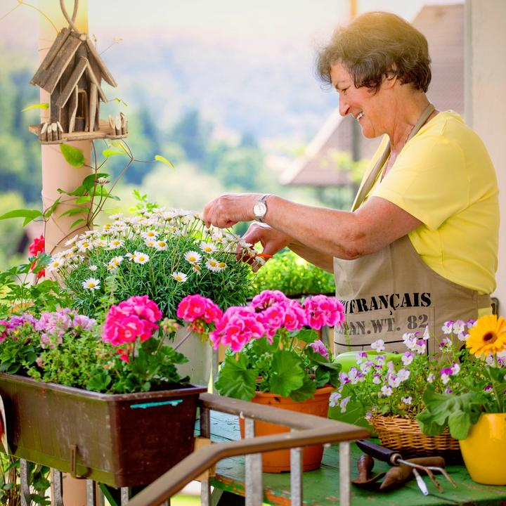 Actual product image Relaxdays Cat cave (Cat)
