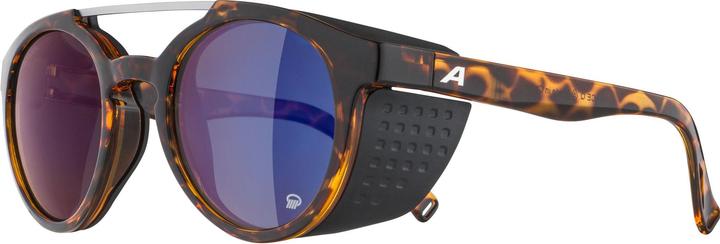 Image du produit ALPINA SPORTS Glace P