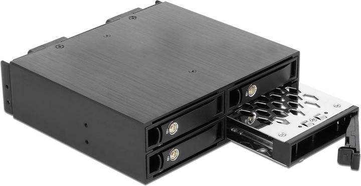 Actual product image Delock 5.25? removable frame for 4 x 2.5? U.2 NVMe SSD with lockable trays