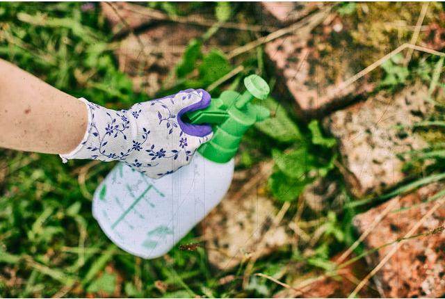 Immagine prodotto Gebol Gartenhandschuh Flower lila 6 (6)