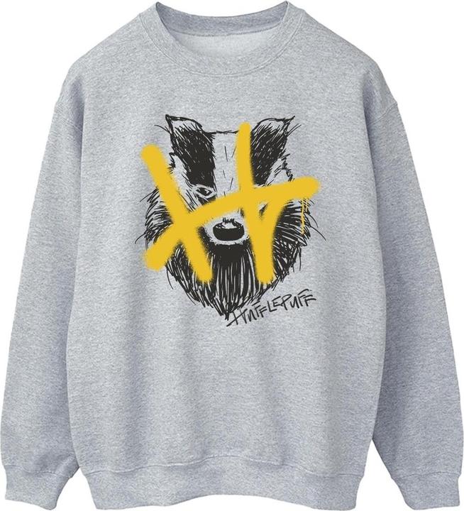 Image du produit - Sweat HUFFLEPUFF POP SPRAY - Homme (XXL)