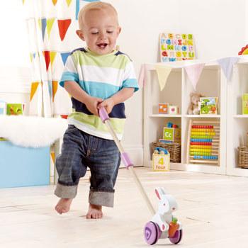 Actual product image Hape Sliding bunny