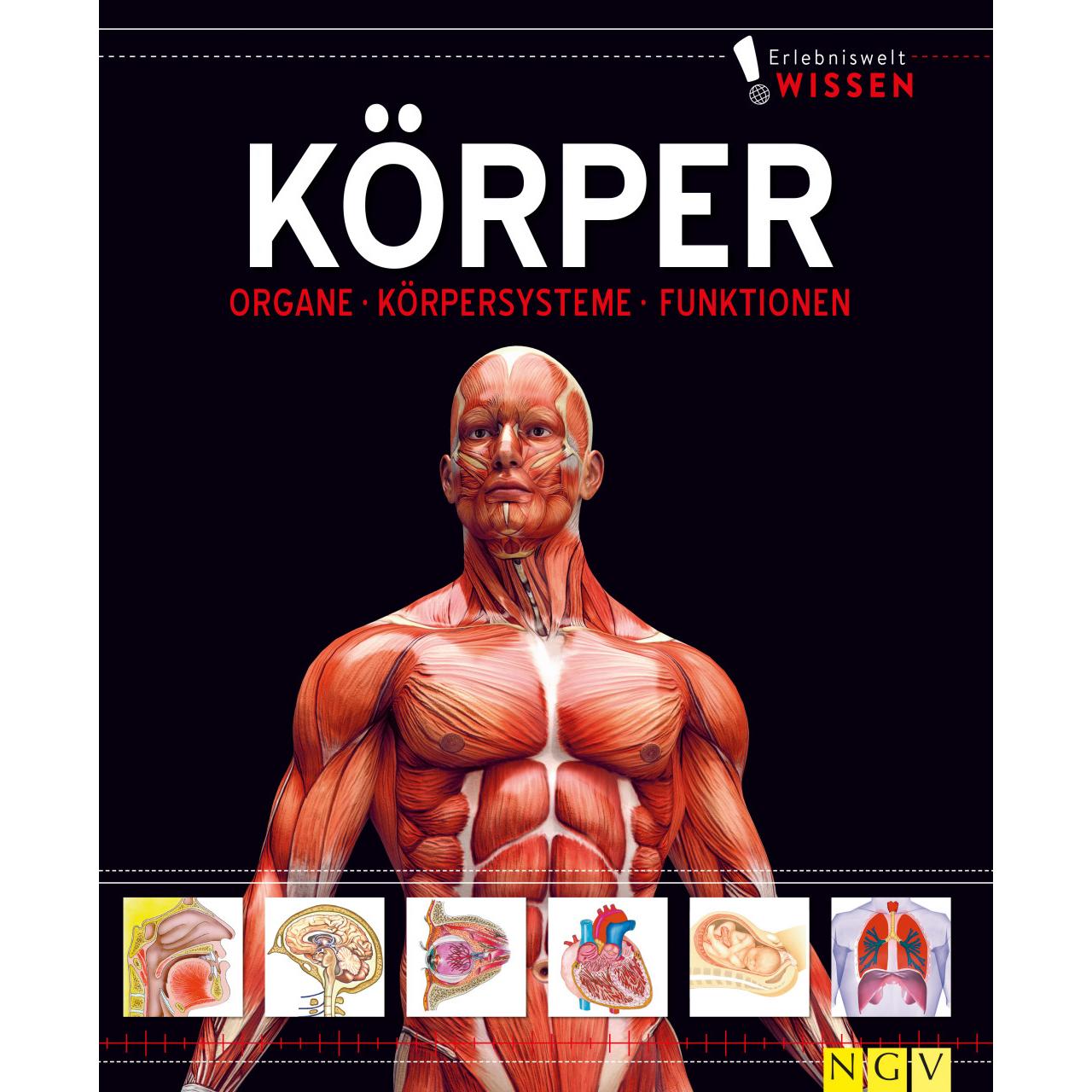 Erlebniswelt Wissen Körper, Schulbücher