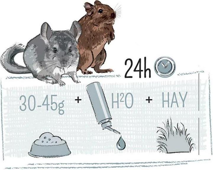 Produktbild Witte Molen Hauptfutter Puur Gourmet-Müsli für Chinchilla & Degu (0.52 kg, 1 x)