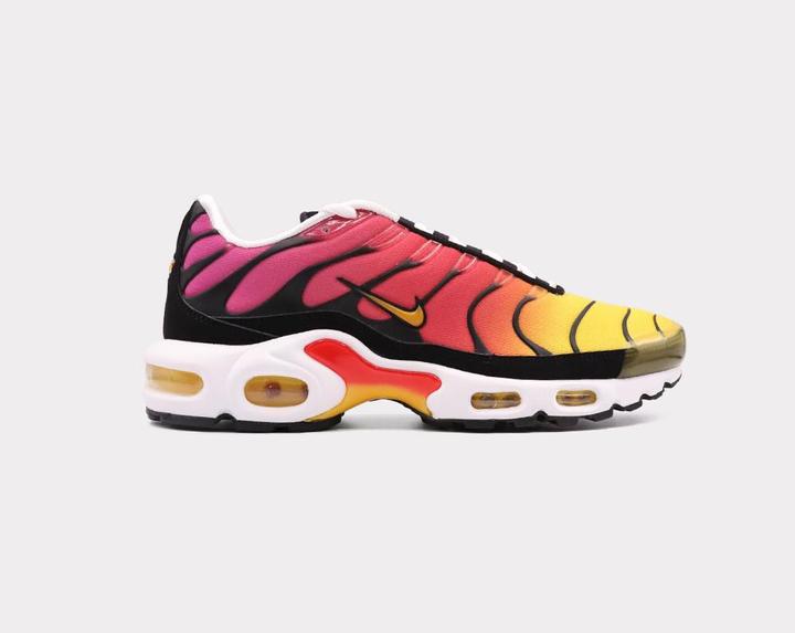 Image du produit Nike Air Max Plus (45)