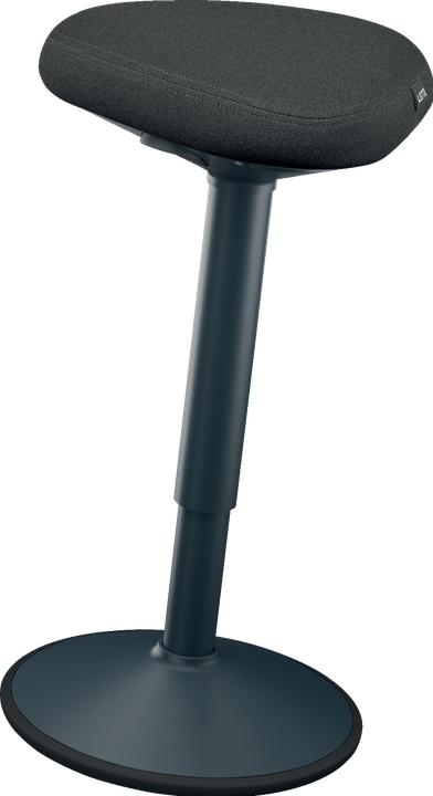 Actual product image Leitz Ergo Active