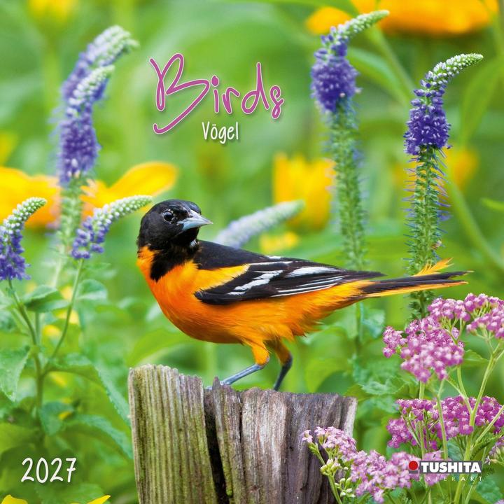 Produktbild Birds 2027